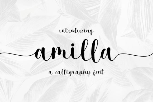 Amilla Font - Featured Image
