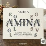 Amina Font - Featured Image