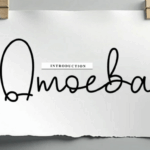 Amoeba Font - Featured Image