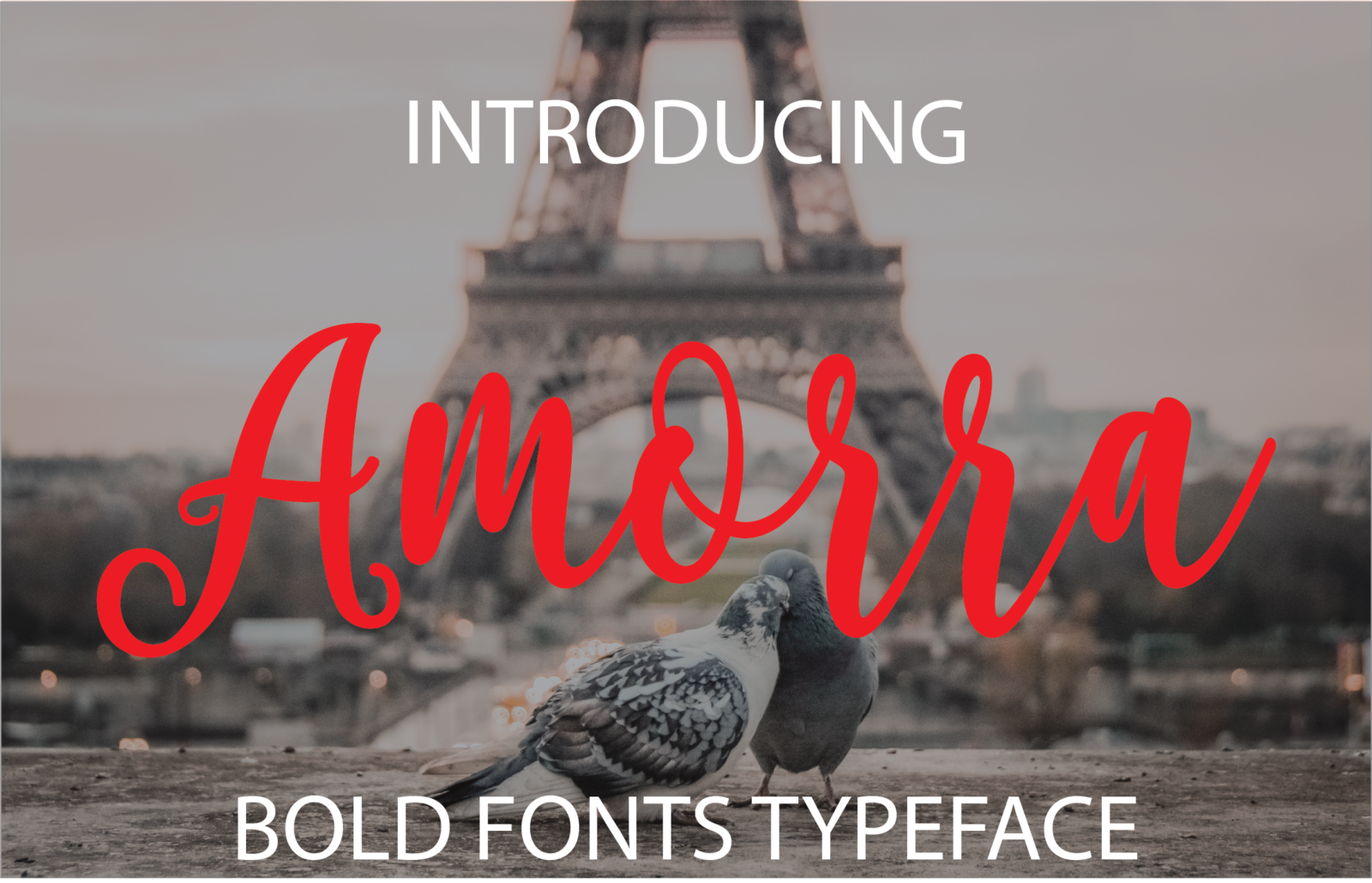 Amorra Font - Featured Image