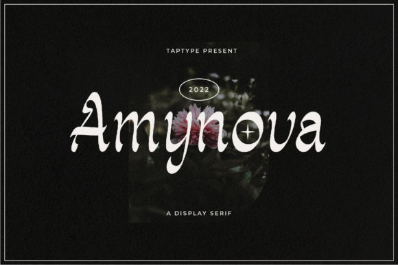 Amynova Font - Featured Image