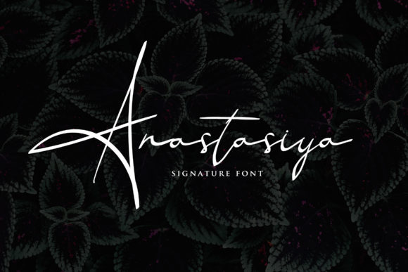 Anastasiya Font - Featured Image