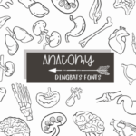 Anatomy Font - Featured Image