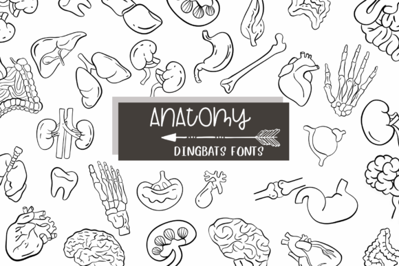Anatomy Font - Featured Image