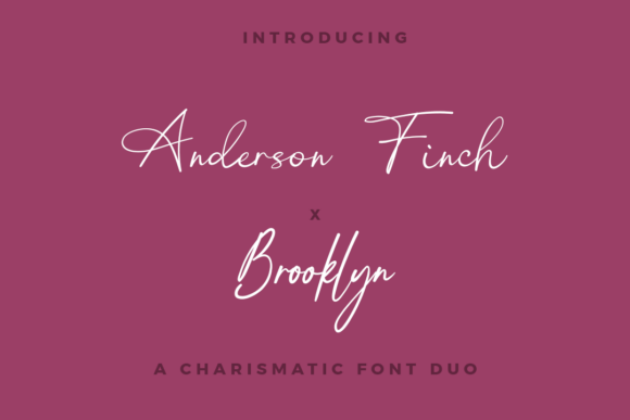 Anderson Finch X Brooklyn Duo Font - Featured Image