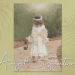Angel Signature Font - Featured Image