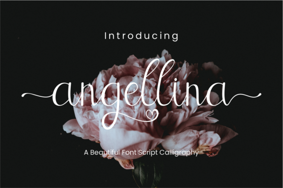 Angellina Font - Featured Image