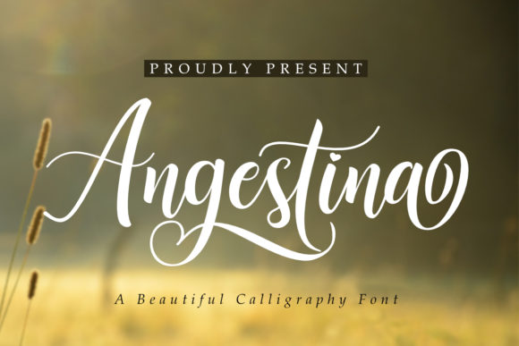 Angestina Font - Featured Image