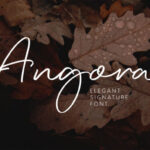 Angora Font - Featured Image