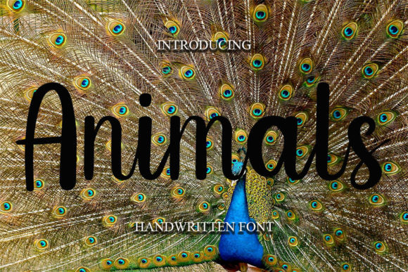 Animals Font - Featured Image