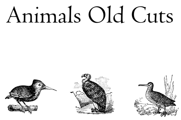 Animals Old Cuts Font - Featured Image