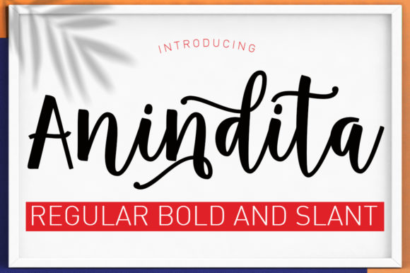 Anindita Font - Featured Image