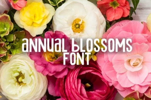 Annual Blossom Font - Featured Image