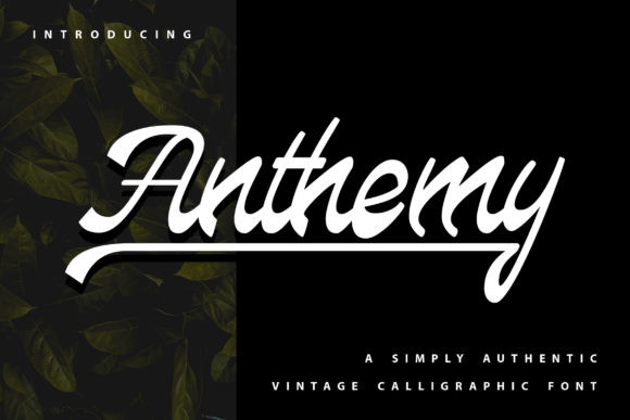 Anthemy Font - Featured Image