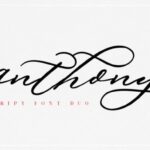 Anthony Font - Featured Image
