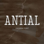 Antial Font - Featured Image