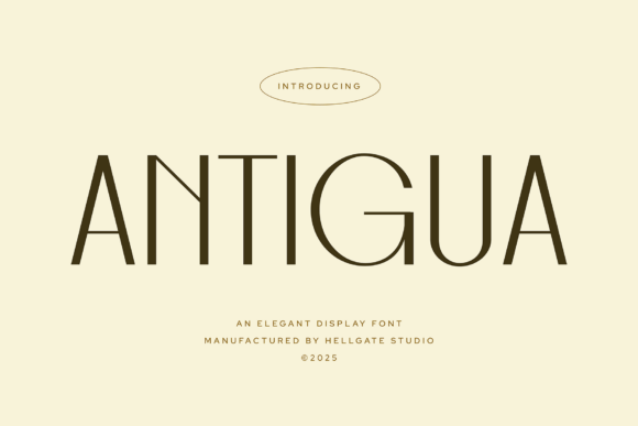 Antigua Font - Featured Image