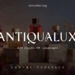 Antiqualux Font - Featured Image