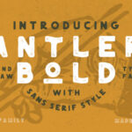 Antler Bold Font - Featured Image