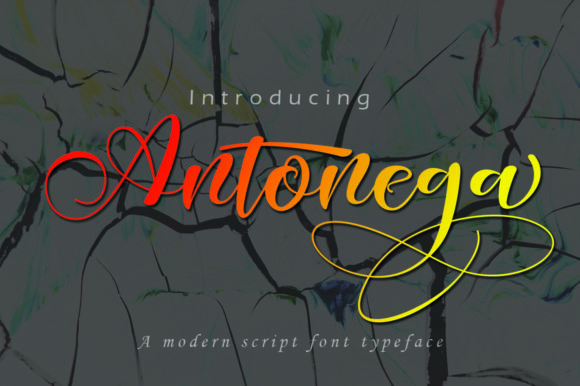 Antonega Font - Featured Image