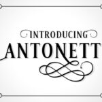 Antonette Font - Featured Image