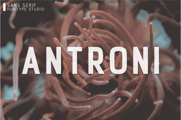 Antroni Font - Featured Image