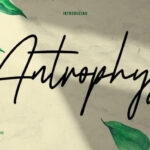 Antrophys Script Font - Featured Image