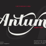Antum Font - Featured Image