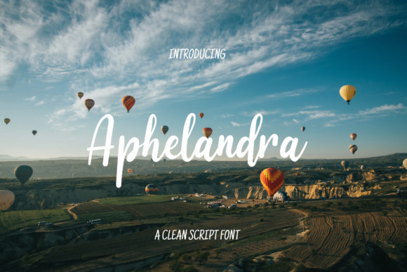 Aphelandra Font - Featured Image