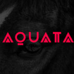 Aquata Font - Featured Image
