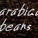 Arabica Beans Font - Featured Image