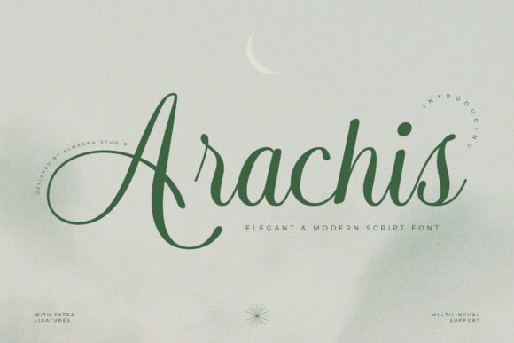 Arachis Font - Featured Image