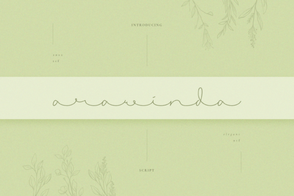 Arawinda Font - Featured Image