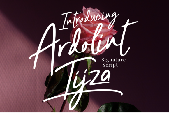 Ardolint Tijza Font - Featured Image