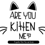 Are You Kitten Me Font - Featured Image