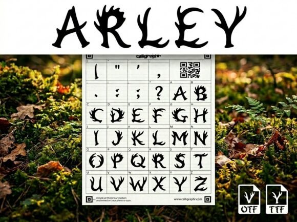 Arley Font - Featured Image