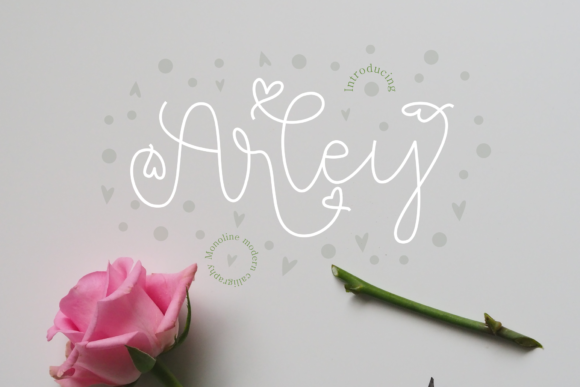 Arley Font - Featured Image