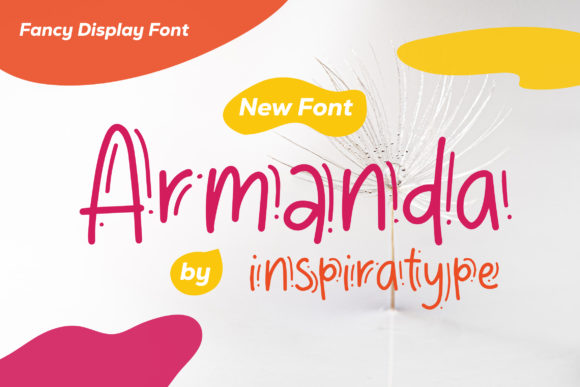 Armanda Font - Featured Image