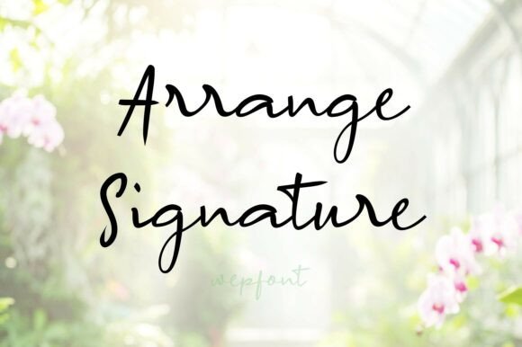 Arrange Signature Font - Featured Image