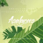 Asalarees Font - Featured Image