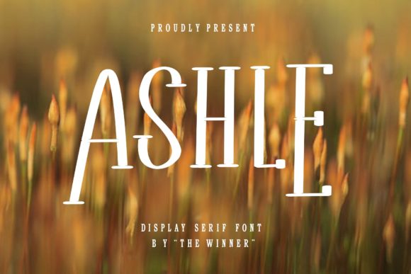 Ashle Font - Featured Image