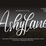 Ashylane Script Font - Featured Image