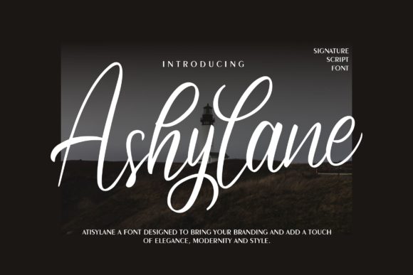 Ashylane Script Font - Featured Image