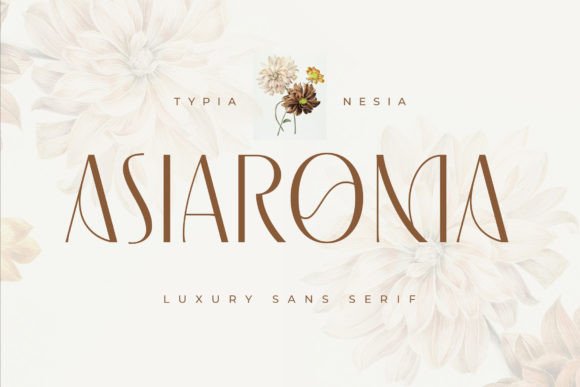 Asiaroma Font - Featured Image