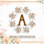Asoka Font - Featured Image