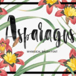 Asparagus Font - Featured Image