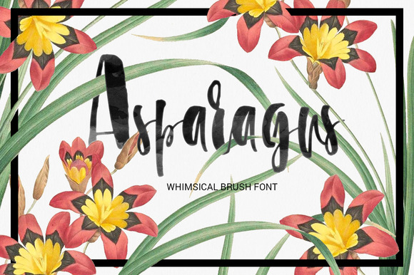 Asparagus Font - Featured Image