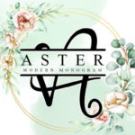 Aster Font - Featured Image