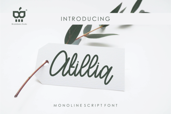 Atillia Font - Featured Image