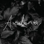 Audina Font - Featured Image